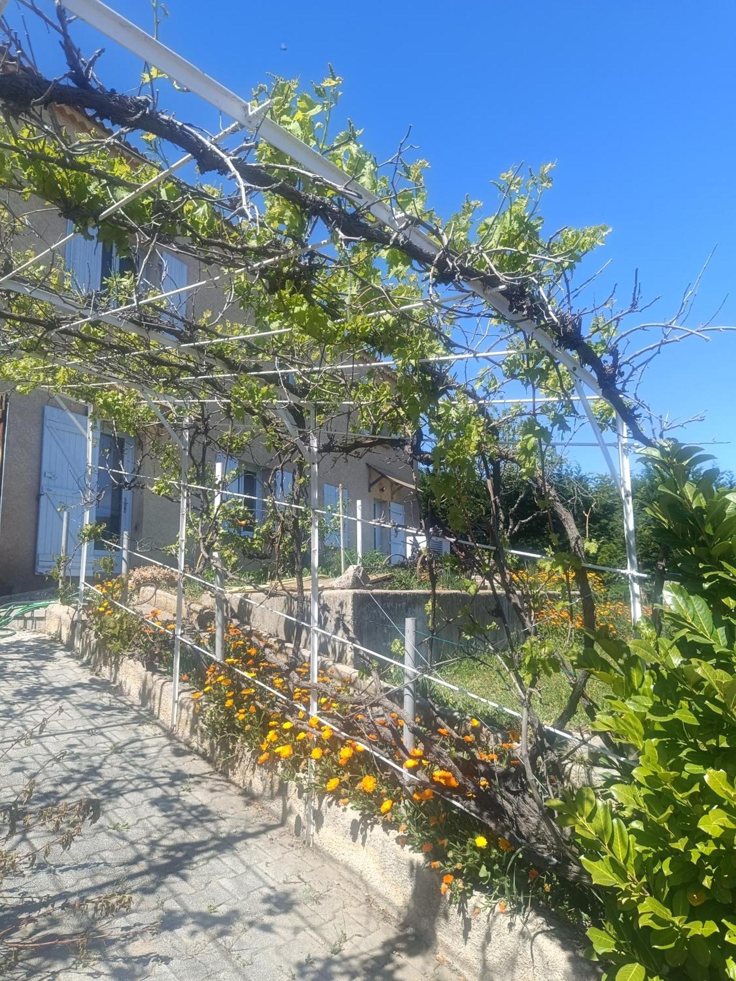 Hysope Apartman Château-Arnoux Kültér fotó